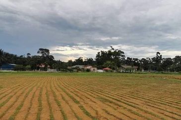 Labu Negeri Sembilan Tanah Pertanian