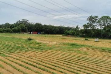 Labu Negeri Sembilan Tanah Pertanian