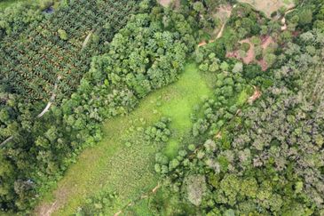 Kampung Sungai Pening