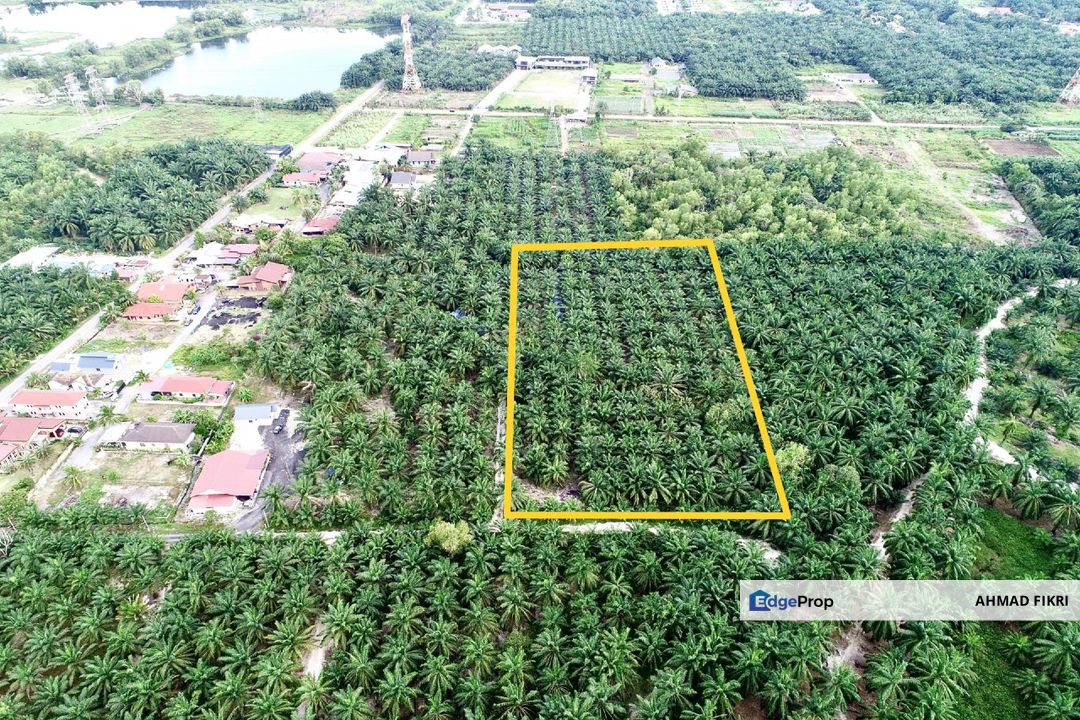 Bukit Changgang Banting Tanah Sawit 2 Ekar, Selangor, Kuala Langat