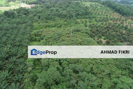 Nilai Perdana Agriculture Land [ FREEHOLD ] 2 Acres Residential Zoning, Negeri Sembilan, Nilai