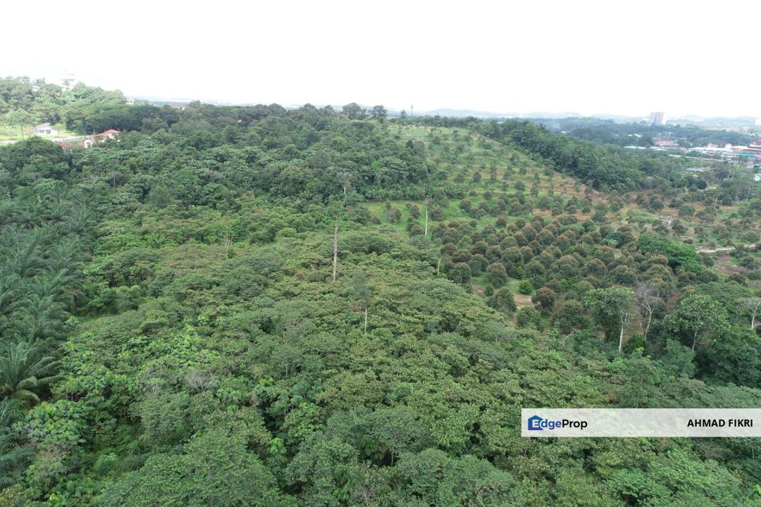 Nilai Perdana Agriculture Land [ FREEHOLD ] 2 Acres Residential Zoning, Negeri Sembilan, Nilai