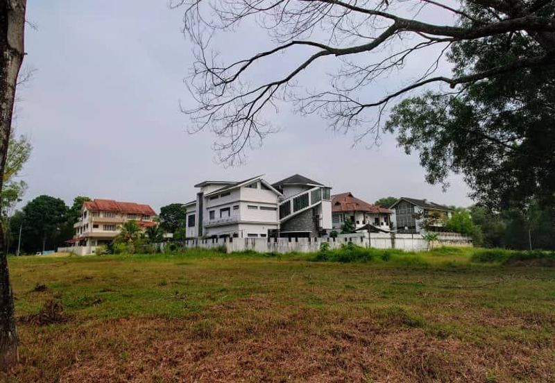 Bukit Jelutong