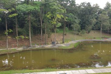 Seksyen 7, Shah Alam