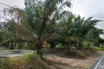 FREEHOLD AGRICULTURE LAND FOR SALE – SRI GADING, BATU PAHAT, JOHOR