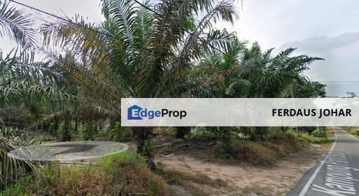 FREEHOLD AGRICULTURE LAND FOR SALE – SRI GADING, BATU PAHAT, JOHOR, Johor, Batu Pahat