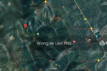 Sang Lee Durian Valley