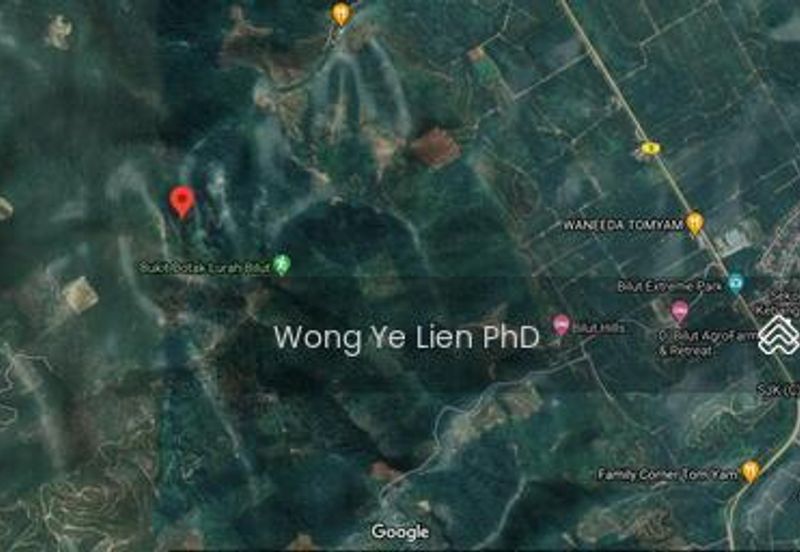 Sang Lee Durian Valley