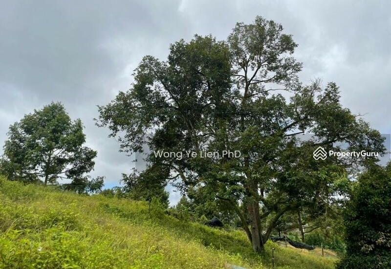 LAND, 2. 33 ac, Main Road, Kampung Simpang Panggung, 27200 Kuala Lipis, Pahang