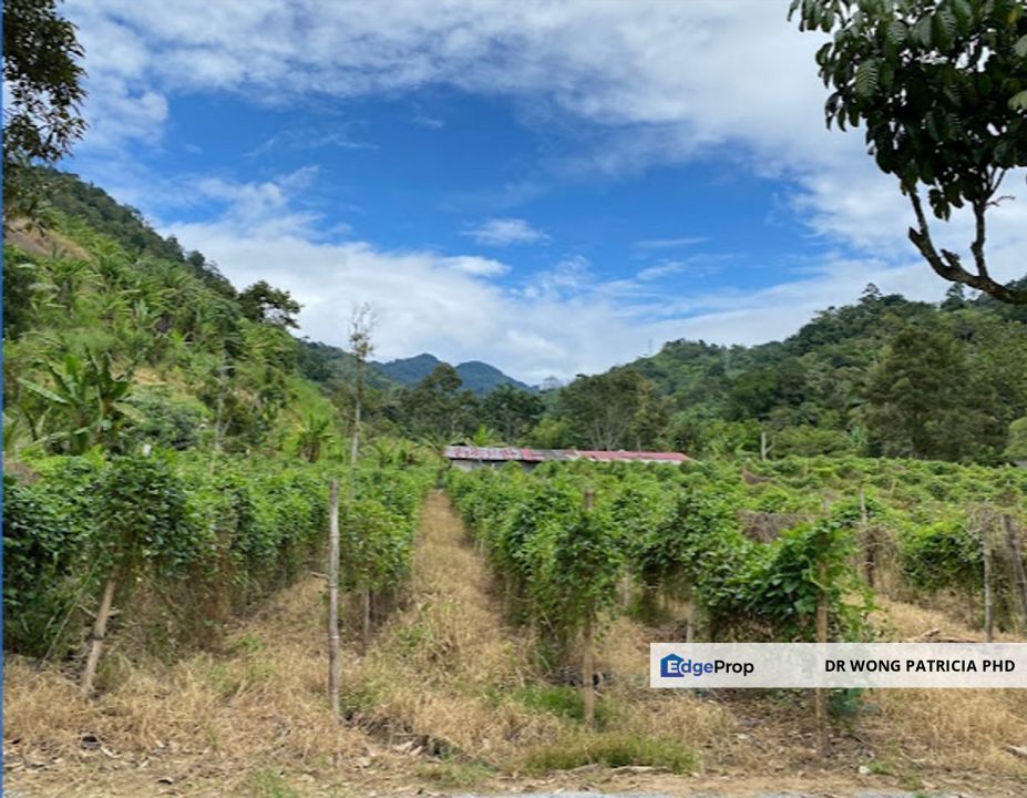 Land, 2.24 ac, 1312 ft above sea level,  near Camperz Hideout,  Bukit Tinggi, 28750 Bentong, Pahang, Pahang, Bentong
