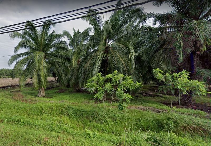 Land, 698 acres,  Jalan Ksu 2/4b, Taman Kuala Selangor Utama, 45000 Kuala Selangor, Selangor