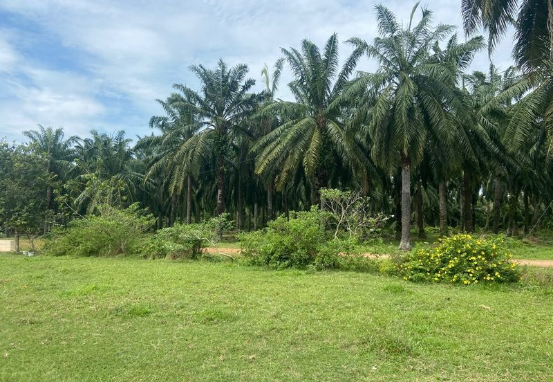 Land, 698 acres,  Jalan Ksu 2/4b, Taman Kuala Selangor Utama, 45000 Kuala Selangor, Selangor