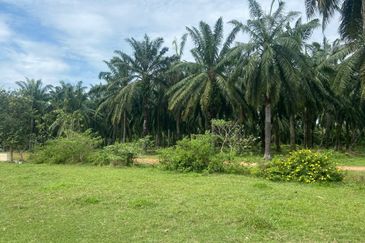 Land, 698 acres,  Jalan Ksu 2/4b, Taman Kuala Selangor Utama, 45000 Kuala Selangor, Selangor