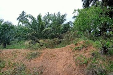 Bandar Sungai Petani