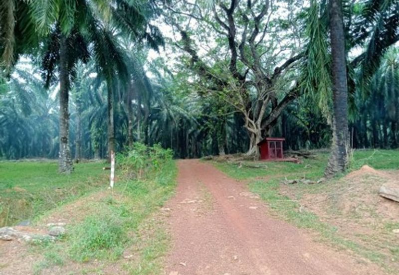 Bandar Sungai Petani