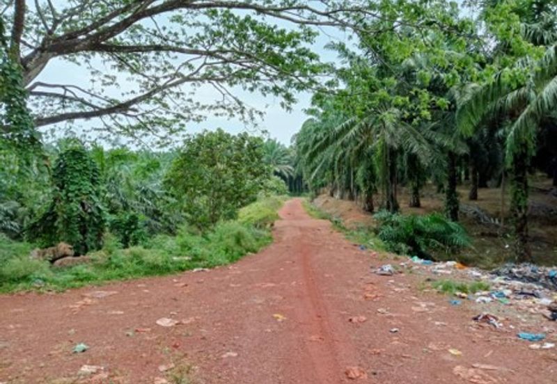 Bandar Sungai Petani