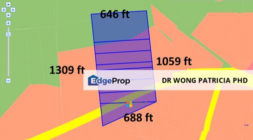 Land, 18 acres, Main Road, Residential, Kampung Selendang, 26800 Kuala Rompin, Pahang, Pahang, Kuala Rompin