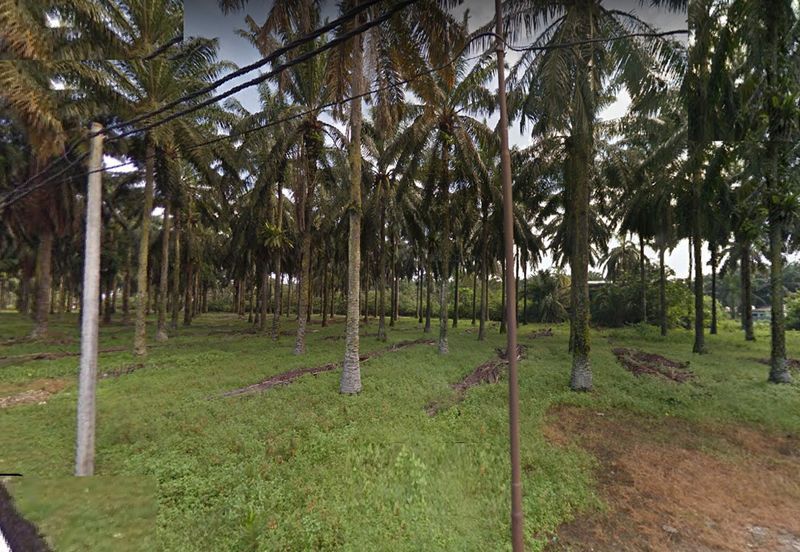 Batang Berjuntai @ Bestari Jaya