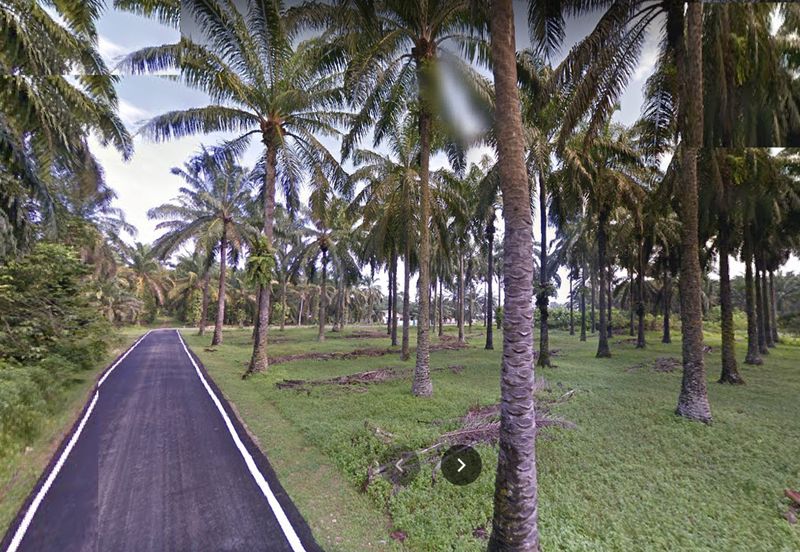 Batang Berjuntai @ Bestari Jaya