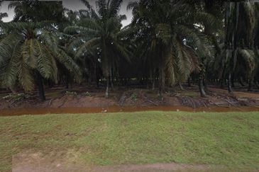 Jalan Kampung Bukit Jeram