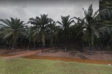 Jalan Kampung Bukit Jeram