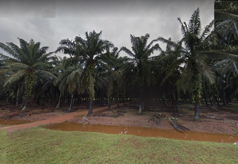 Jalan Kampung Bukit Jeram