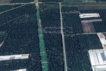 Jalan Kampung Bukit Jeram