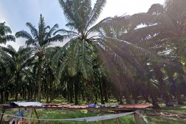 Bandar Sungai Petani