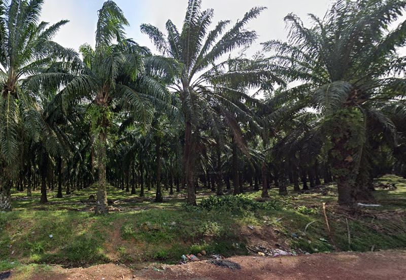 Bandar Sungai Petani