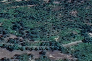 Sungai Gumut ( Lembah Beringin )