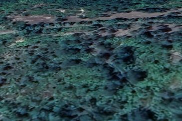 Sungai Gumut ( Lembah Beringin )