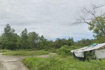 Sungai Gumut ( Lembah Beringin )