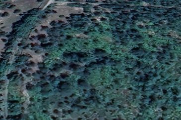 Sungai Gumut ( Lembah Beringin )