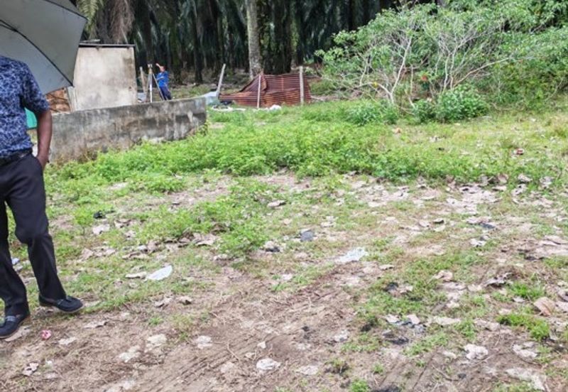 Pekan Batang Berjuntai