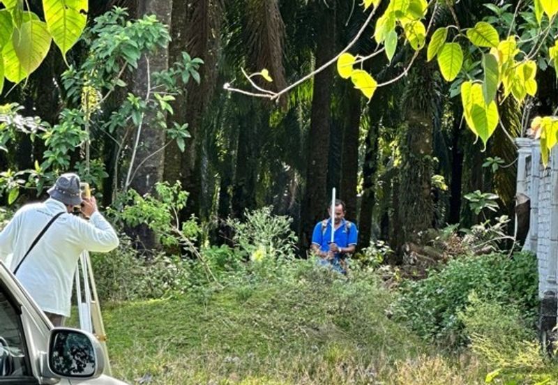 Pekan Batang Berjuntai