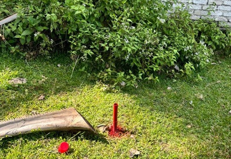 Pekan Batang Berjuntai