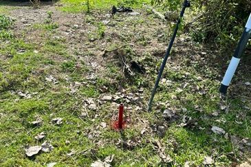 Pekan Batang Berjuntai