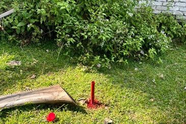 Pekan Batang Berjuntai