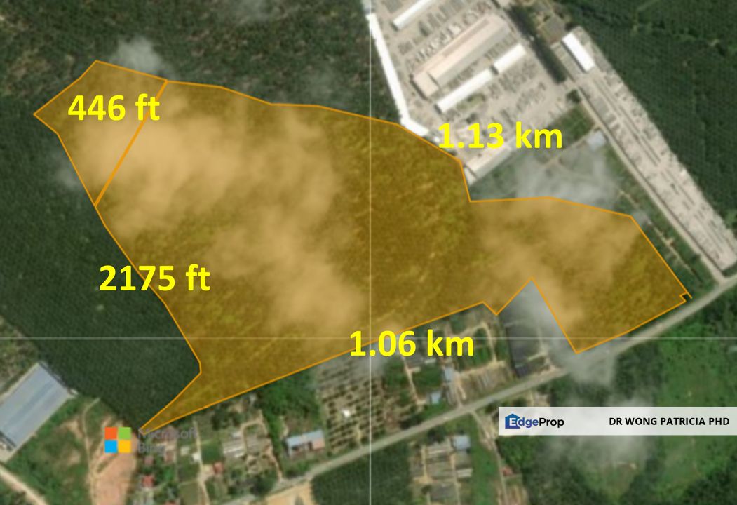 Land, 74.57 acres, Main Road, Kg Paya Panjang Jalan Bukit Pasir, 84300 Muar, Johor, Johor, Muar