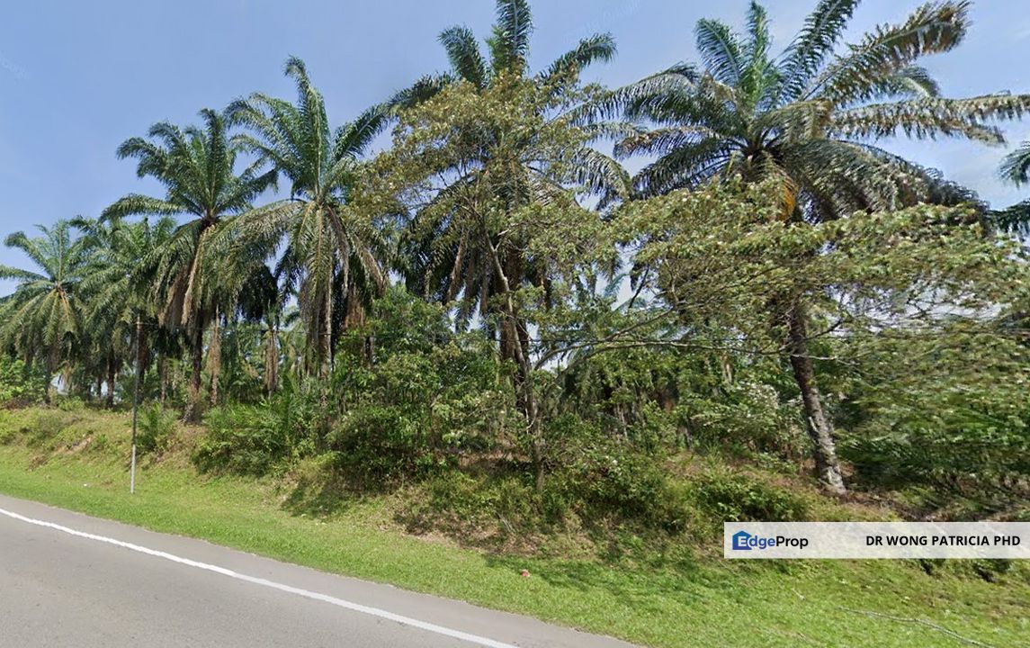 Land, 74.57 acres, Main Road, Kg Paya Panjang Jalan Bukit Pasir, 84300 Muar, Johor, Johor, Muar