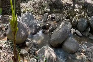 Sang Lee Durian Valley