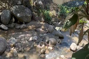 Sang Lee Durian Valley