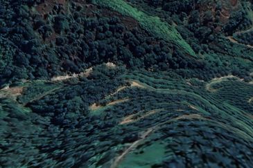 Sang Lee Durian Valley