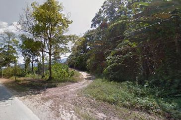 Sang Lee Durian Valley