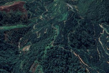 Sang Lee Durian Valley