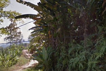 Sang Lee Durian Valley