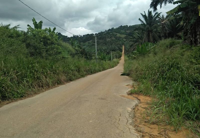 Land, 881 acres, off AH2 North South Expressway, 84600 Pagoh, Johor