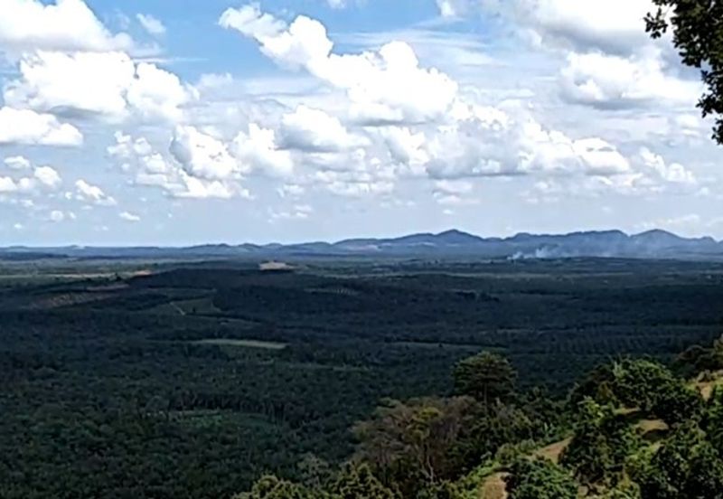 Land, 881 acres, off AH2 North South Expressway, 84600 Pagoh, Johor