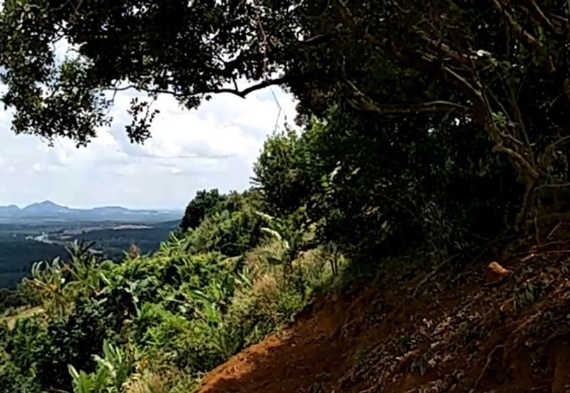 Land, 881 acres, off AH2 North South Expressway, 84600 Pagoh, Johor