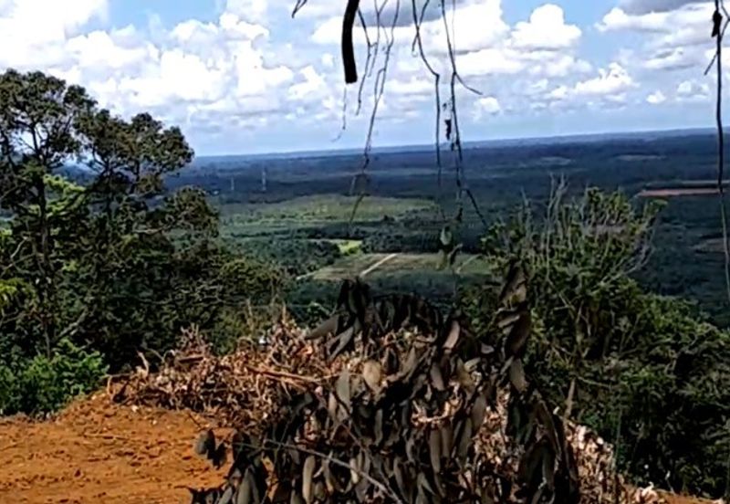 Land, 881 acres, off AH2 North South Expressway, 84600 Pagoh, Johor